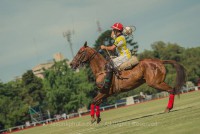 /album/final-de-la-72%c2%ba-abierto-argentino-de-pato/a993501-10152107153397264-966820703-n-jpg/